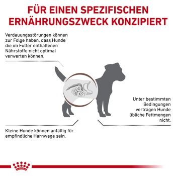 Bild eines Hundes mit dem Text: "Für spezifische Ernährungsbedürfnisse," der sich mit Verdauungsproblemen bei kleinen Hunden befasst.