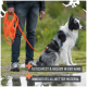 Eine Person hält eine orange Hundeleine neben einem schwarz-weißen Hund im Geschirr. Der Text hebt hervor: "Rutschfest & bequem" und "Innovatives Material."