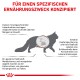 Katzensilhouette mit Leber-Symbol, das die Ernährungsbedürfnisse und Proteinlimits für Katzen mit Leberproblemen hervorhebt.