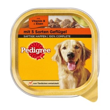 Verpackung von Pedigree Hundefutter mit einem lächelnden Golden Retriever, beschriftet mit 'mit 5 Sorten Geflügel' und '100% COMPLETE.'