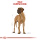 Illustratie van een Nederlandse Mastiff hond, gelabeld 'RAS: Duiste Dog', met een gedetailleerde omtrek en afmetingen, op een witte achtergrond.