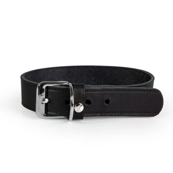 Halsband Weinheim schwarz 52 cm, 3 cm Schwarzes Leder-Haustierhalsband mit einer silbernen Schnalle und verstellbaren Löchern für die Größe.