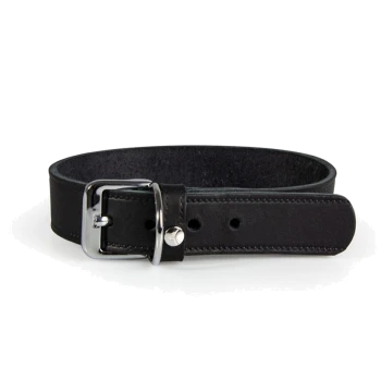Black leather pet collar with a silver buckle and adjustable holes for sizing.