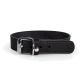 Schwarzes Leder-Haustierhalsband mit einer silbernen Schnalle und verstellbaren Löchern für die Größe.