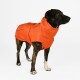 Ein Hund, der einen leuchtend orangefarbenen Regenmantel mit Kapuze trägt, steht auf einem weißen Hintergrund.