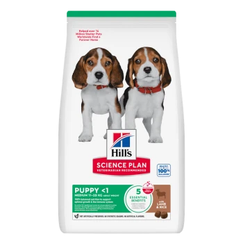 Hill's Science Plan Welpenbeutel mit zwei Beagle-Welpen; sichtbarer Text: 'PUPPY <1', 'Lamb & Rice', '5 Benefits'.