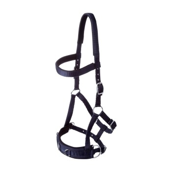 Kappzaum Basic navy Pony