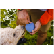 Eine Person in einer orangefarbenen Jacke hält ein blaues Hundespielzeug, während ein lockiger Hund eifrig zu ihm aufblickt, vor einem grünen Hintergrund.