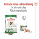 Royal Canin Hundefutterverpackung für kleine Hunde (bis zu 10 kg, Alter 12+) empfiehlt, Trocken- und Nassfutter für eine optimale Fütterung zu mischen.