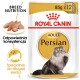 Opakowanie karmy dla dorosłych kotów perskich Royal Canin, z puszystym kotem perskim, z tekstem podkreślającym odżywianie rasy i odpowiednią konsystencję.