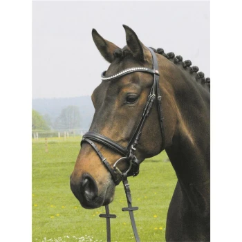 Eine Nahaufnahme eines braunen Pferdes, das ein schwarzes Zaumzeug mit einem mit Juwelen besetzten Stirnriemen trägt, vor einem Hintergrund aus einer grasbewachsenen Wiese.