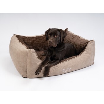 Ein schokoladenfarbener Labrador, der in einem beigen Hundebett mit braunem Innenraum liegt, mit "TrendPet" auf der Seite gestickt.