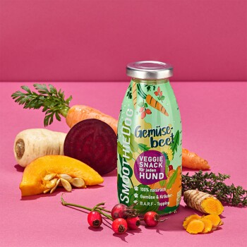 Eine "Gemüse Beet" Smoothie Hundesnackflasche umgeben von frischen Karotten, Kürbis und Rote Beete auf einem rosa Hintergrund.