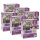 Sechs Boxen Bozita Fresh Menu Katzenfutter in Truthahngeschmack, mit einer getigerten Katze auf der Verpackung, mit 89% tierischen Inhaltsstoffen.