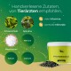 Grünes Bild des "ELEGOLD" Pferdeelektrolytzusatzes, das Vorteile zeigt: 50.000 glückliche Pferde, optimale Versorgung, ideal nach Anstrengung, 100% natürlich.