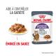 Poche de nourriture pour chat Royal Canin Appetite Control avec une assiette de nourriture humide pour chat, présentant un texte sur la satiété et une revendication de satisfaction de 90 % des propriétaires.