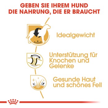 Hundefutter-Werbung mit dem Text: "Geben Sie Ihrem Hund die Nahrung, die er braucht" und Symbolen für Gewicht, Gelenk- und Hautgesundheit.