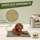 Brauner Hund liegt auf einer grünen, gemütlichen Hundematte mit Hanffüllung in einem stilvollen Wohnzimmer, Text auf Deutsch.