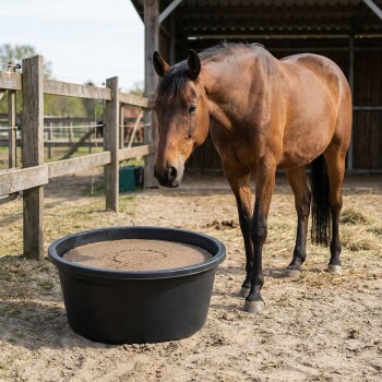 Zwei Pferde fressen aus einer blauen Futterschüssel auf Gras, mit einem Etikett, das "PANTO Leckschale für Pferde" liest und sichtbare Nährwertangaben.