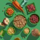 Ein lebendiger grüner Hintergrund zeigt die Zutaten für Tiernahrung: eine Schüssel mit gemischtem Fleisch und Getreide, gewürfelte Karotten, rohes Fleisch, Apfelscheiben und Rübe.