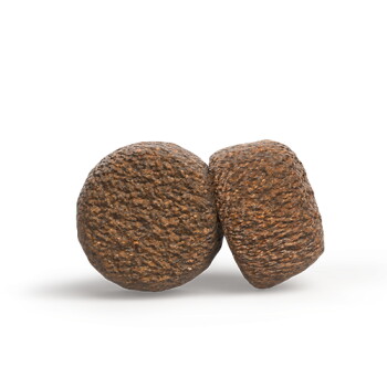 Nahaufnahme von zwei runden, strukturierten braunen Tierfutter-Kroketten vor weißem Hintergrund.