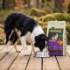 Border Collie frisst aus einer Metallschüssel auf einem Holzdeck neben einem Sack WILDERNESS Rocky Hills Adult Hundefutter mit der Angabe 65%/35%/0%.