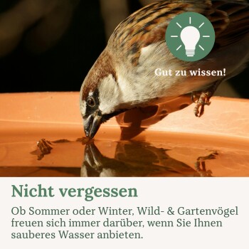 Haussperling trinkt aus einer orangefarbenen Wasserschale; deutscher Overlay-Text 'Gut zu wissen!' und 'Nicht vergessen.'
