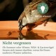 Haussperling trinkt aus einer orangefarbenen Wasserschale; deutscher Overlay-Text 'Gut zu wissen!' und 'Nicht vergessen.'