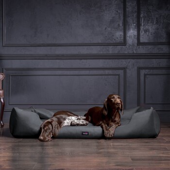 Zwei Hunde, einer braun und einer mit einem gefleckten Fell, entspannen sich auf einem dunkelgrauen Hundebett in einem stilvollen Raum mit dunklen Wänden.