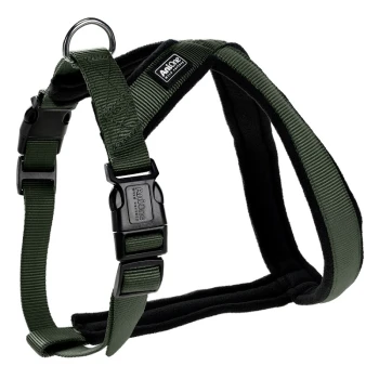 Groene huisdierharnas met gevoerde banden en verstelbare gespen, met een metalen D-ring voor het bevestigen van de riem.