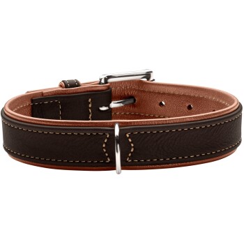 Brauner Lederhalsband für Haustiere mit kontrastierenden hellbraunen Nähten und einer silbernen Schnalle, auf einem weißen Hintergrund präsentiert.