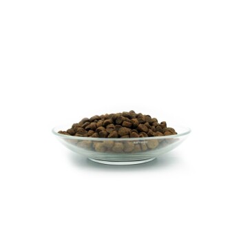 Eine Glasschüssel gefüllt mit braunem Haustierfutter, die einen Haufen runder, trockener Pellets vor einem weißen Hintergrund zeigt.