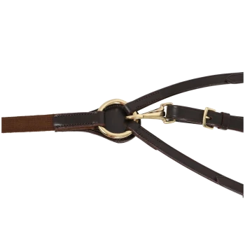 Ein schwarzes Leder-Hundegeschirr mit goldenen Metallringen und verstellbaren Riemen, entworfen für Komfort und Kontrolle.