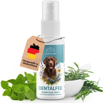 Zahnpflegespray für Haustiere, mit der Aufschrift "DENTALFEE," mit einer Hundillustration, daneben Kräuter und Minzblätter.