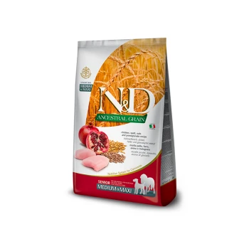 Ancestral Grain Medium/Maxi Senior 12 kg Hundefuttertüte mit N&D Ancestral Grain, mit Zutaten wie Huhn, Dinkel, Hafer und Granatapfel, gekennzeichnet für ältere mittelgroße und große Hunde.