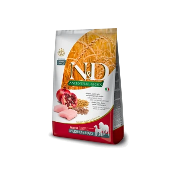 Hundefuttertüte mit N&D Ancestral Grain, mit Zutaten wie Huhn, Dinkel, Hafer und Granatapfel, gekennzeichnet für ältere mittelgroße und große Hunde.