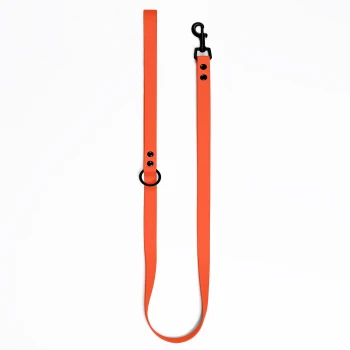 Helle orangefarbene Hundeleine mit einem schwarzen Clip und einem Metallring, vor einem weißen Hintergrund präsentiert.