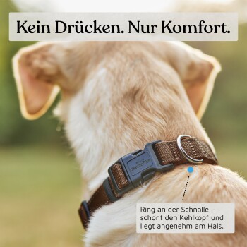 Hund trägt braunes FRIEDRICHER Halsband mit Ring, deutscher Text lautet „Kein Druck. Nur Komfort.“ und Vorteile des Halsbands.