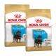 Zwei Beutel Royal Canin Rottweiler Welpenfutter, mit einem jungen Rottweiler-Welpen auf der Vorderseite, beschriftet für Welpen bis zu 10 Monaten.