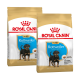Zwei Beutel Royal Canin Rottweiler Welpenfutter, mit einem jungen Rottweiler-Welpen auf der Vorderseite, beschriftet für Welpen bis zu 10 Monaten.