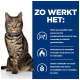 Een tabby kat in een blauwe halsband poseert naast tekst over een natuurlijk gewichtsverliesproduct voor katten dat vetverbranding bevordert en verzadiging bevordert.