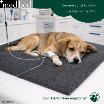 Hund mit Infusion auf dunkelgrauem Medbed in der Tierklinik. Sichtbare Texte: medbed; Sterilisierbar bei 95°C; Von Tierkliniken empfohlen.