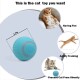 Ein 1,7-Zoll blauer Katzenspielball ist von verspielten Katzenbildern umgeben, die Spaß, Agilität und Fettleibigkeitsprävention fördern.