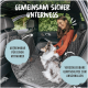 Eine Frau sitzt in einem Auto mit einem Hund auf einem gepolsterten Haustiersitzbezug mit abnehmbaren Abschnitten und sicheren Sicherheitsgurtöffnungen.