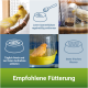 Zwei gelbe Kanarienvögel auf einem Ast mit einem Futterbehälter und einem Wasserspender, mit deutschen Fütterungsanweisungen.