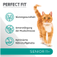 Gesunde orange Katze, die mit "Perfect Fit" Katzenfutter für Senioren 11+ läuft, das Nierengesundheit, Muskelunterstützung und optimierte Nährstoffe fördert.