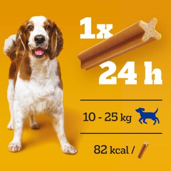 Hund, der vor einem leuchtend orangefarbenen Hintergrund steht, mit einer Grafik für Hundeleckerlis, die "1x 24 h" zeigt, geeignet für Hunde mit einem Gewicht von 10-25 kg, enthält 82 kcal.