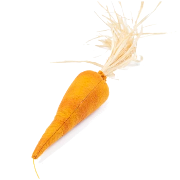 Ein plüschiges orangefarbenes Karotten-Spielzeug mit einer strukturierten Oberfläche und einem strohähnlichen grünen Oberteil, entworfen für Haustiere.
