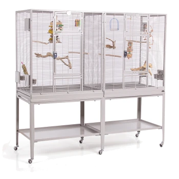 Großer doppelter Vogelkäfig auf Rädern, mit mehreren Sitzstangen, Spielzeugen und einem sauberen Design, ideal für Haustiervögel.