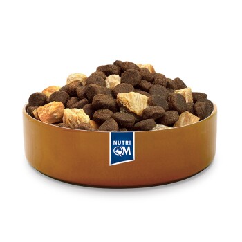 Eine Schüssel gefüllt mit dunkelbraunen Tierfutterkroketten und hellen Fleischstücken, mit dem NutriQM-Logo an der Seite.